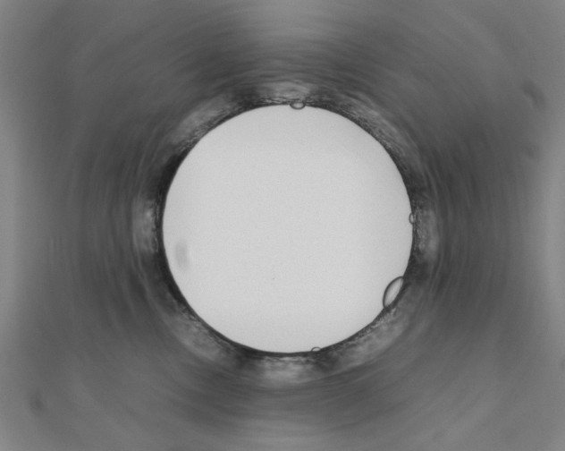 X0000111190378200908121053