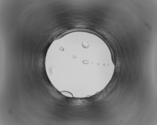X0000111190379200908121053