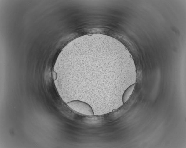 X0000111190381200908121053