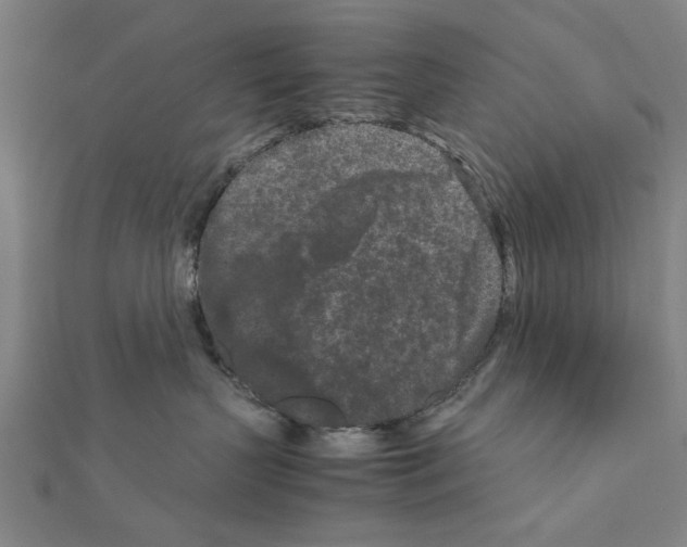 X0000111190383200908121053