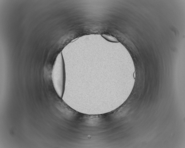 X0000111190384200908121053