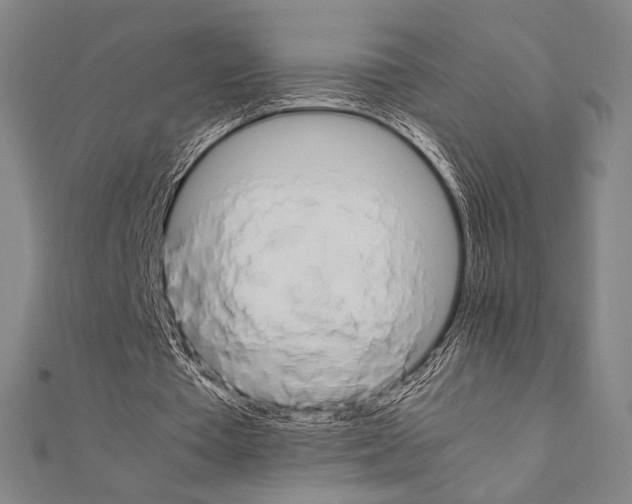 X0000111190385200908121052