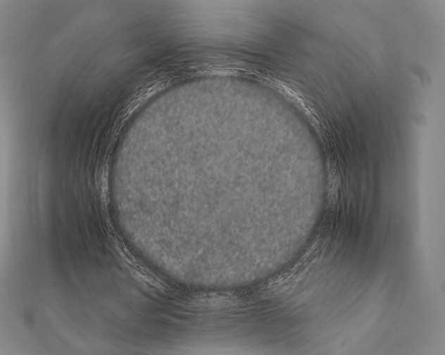 X0000111190386200908121052