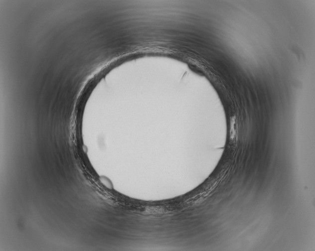 X0000111190388200908121052