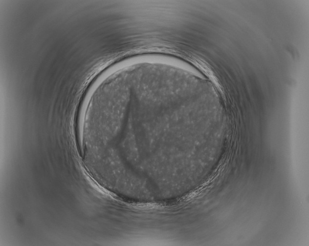 X0000111190389200908121052