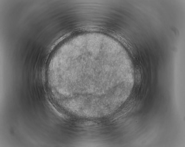 X0000111190390200908121052