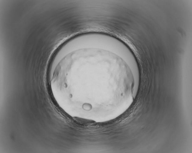 X0000111190391200908121052
