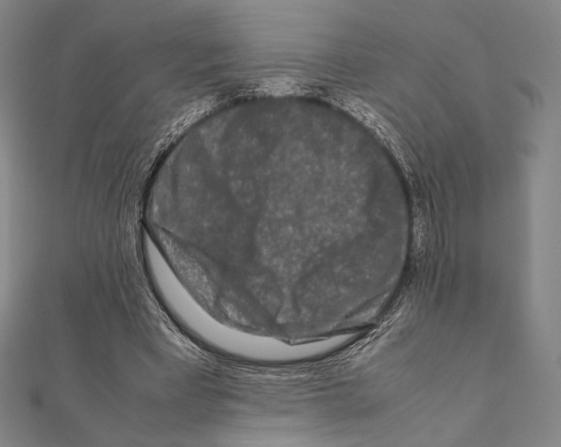 X0000111190393200908121052
