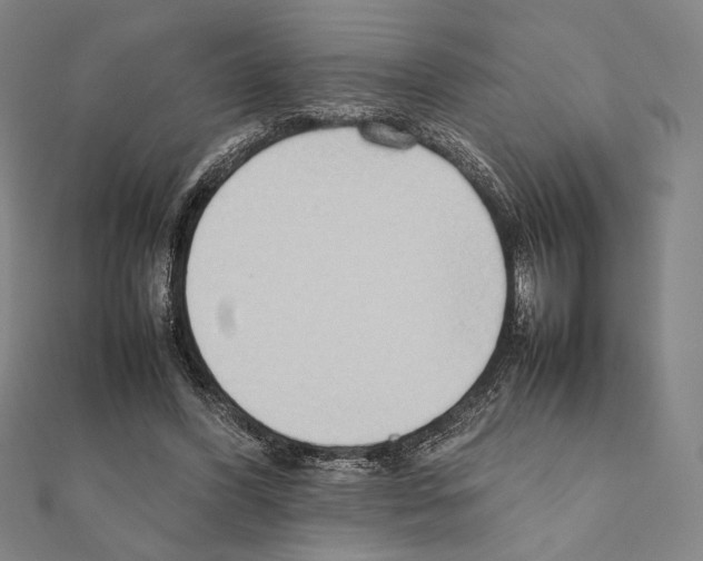 X0000111190396200908121052