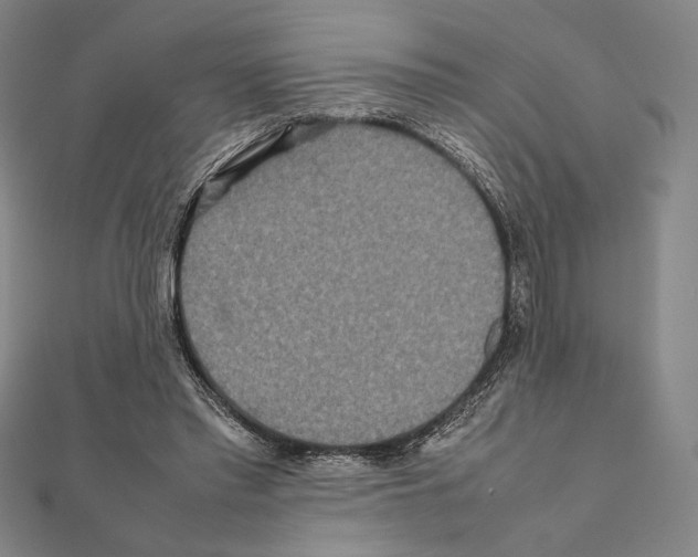 X0000111190397200908121052