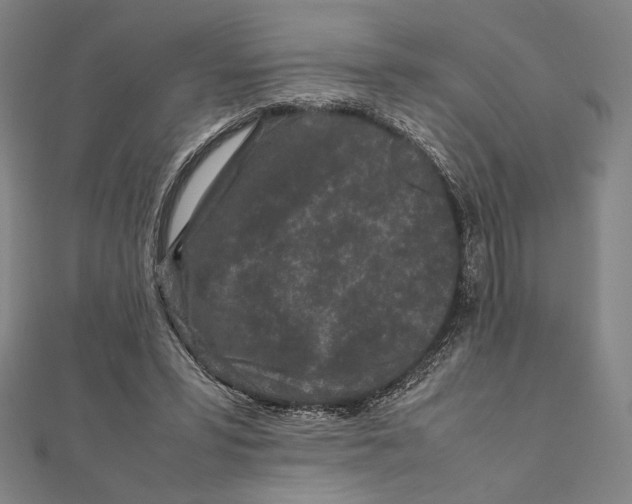 X0000111190399200908121052