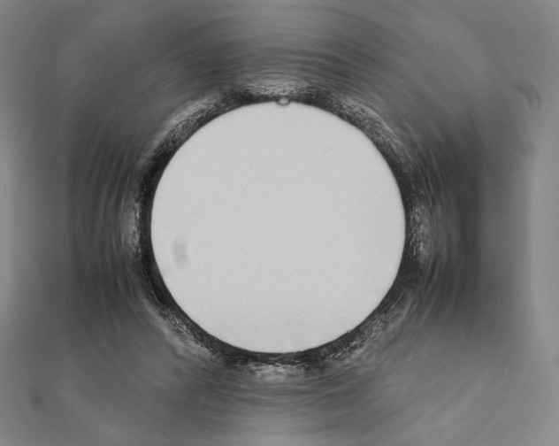 X0000111190400200908121052