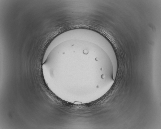 X0000111190401200908121052