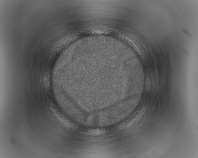X0000111190402200908121052