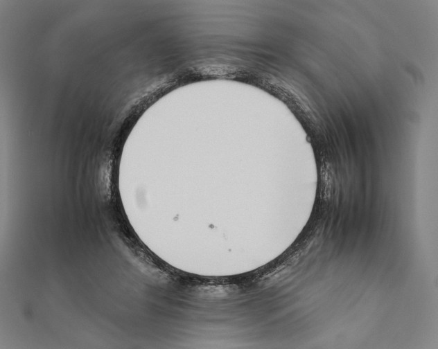 X0000111190404200908121052