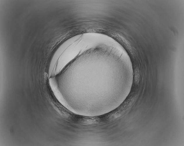 X0000111190405200908121052