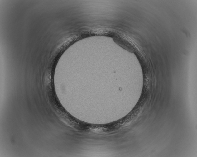 X0000111190407200908121052