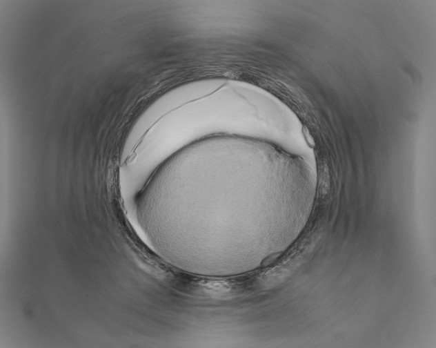X0000111190409200908121052