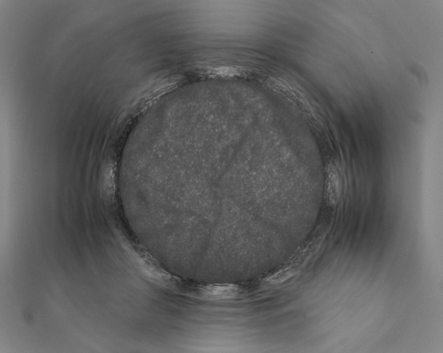 X0000111190410200908121052