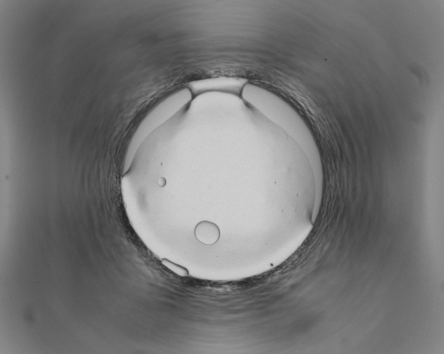 X0000111190411200908121052