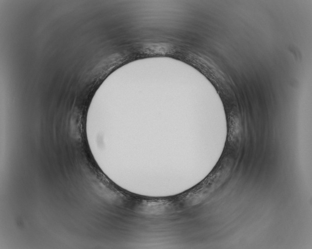 X0000111190414200908121052