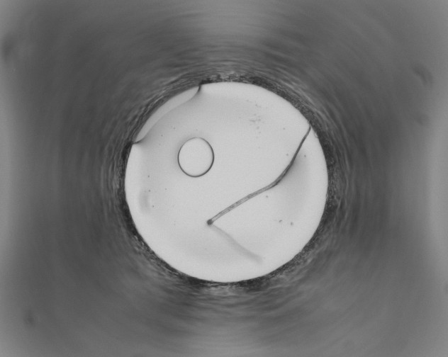 X0000111190417200908121052