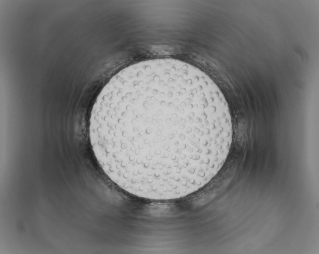 X0000111190418200908121052