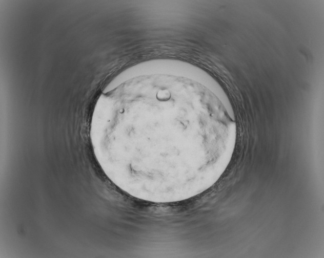 X0000111190419200908121052