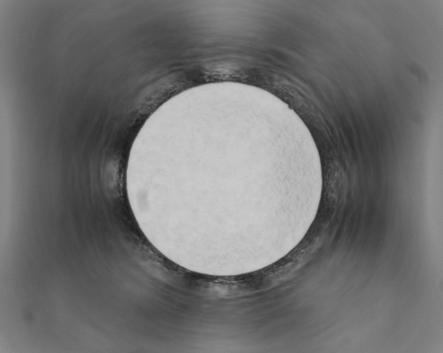 X0000111190420200908121052