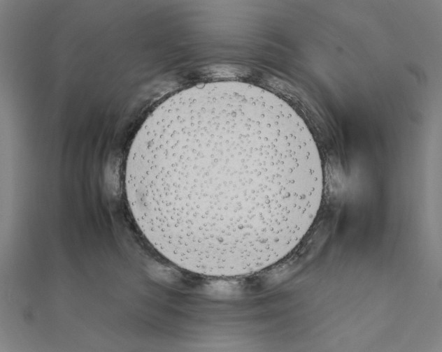 X0000111190422200908121052