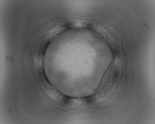 X0000111190423200908121052