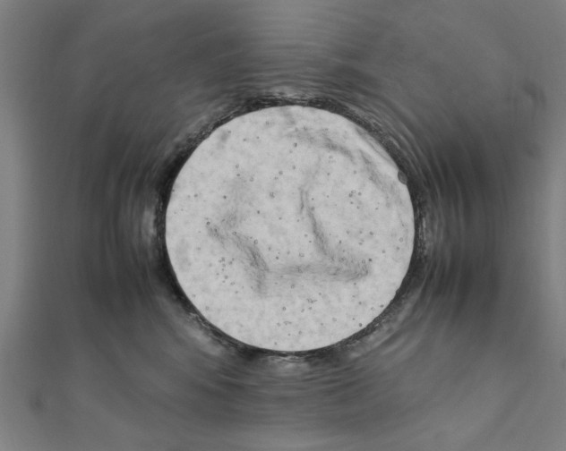 X0000111190424200908121052
