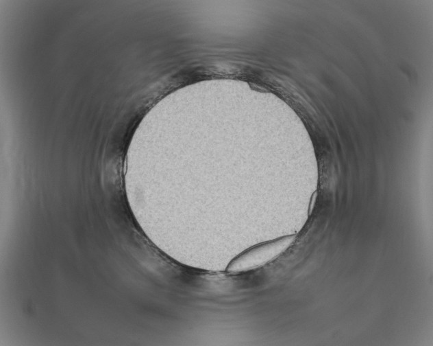 X0000111190425200908121052