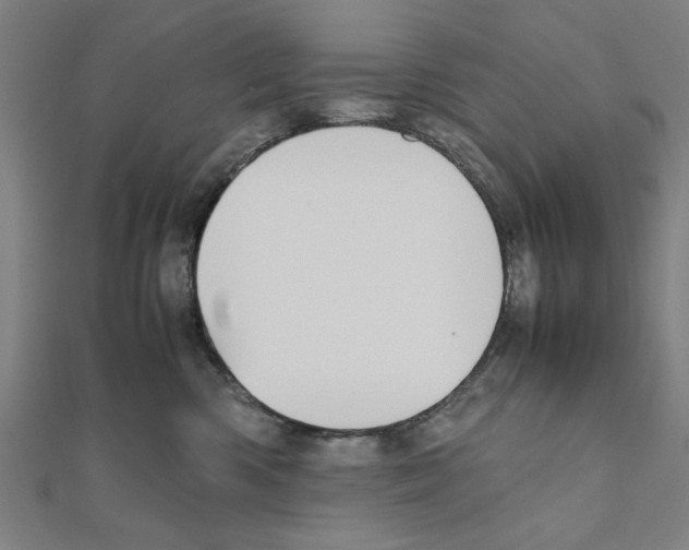 X0000111190426200908121052