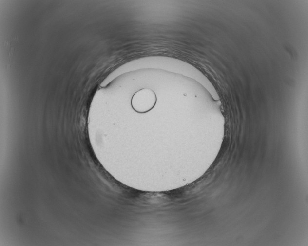 X0000111190427200908121052