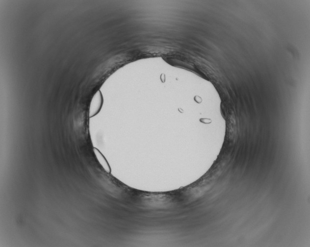X0000111190428200908121052