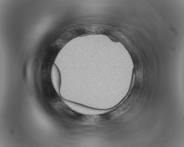X0000111190429200908121052