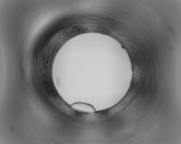 X0000111190430200908121052