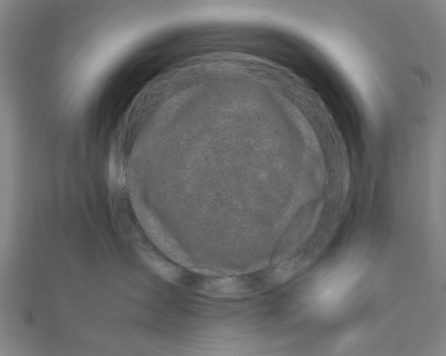 X0000111190431200908121052