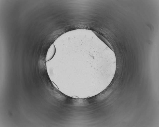 X0000111190432200908121052