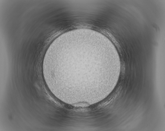 X0000111190433200908121051