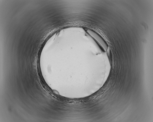 X0000111190434200908121051