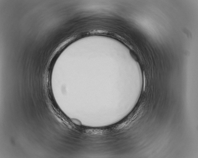 X0000111190435200908121051