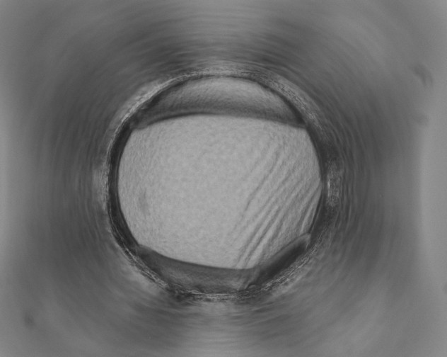 X0000111190436200908121051