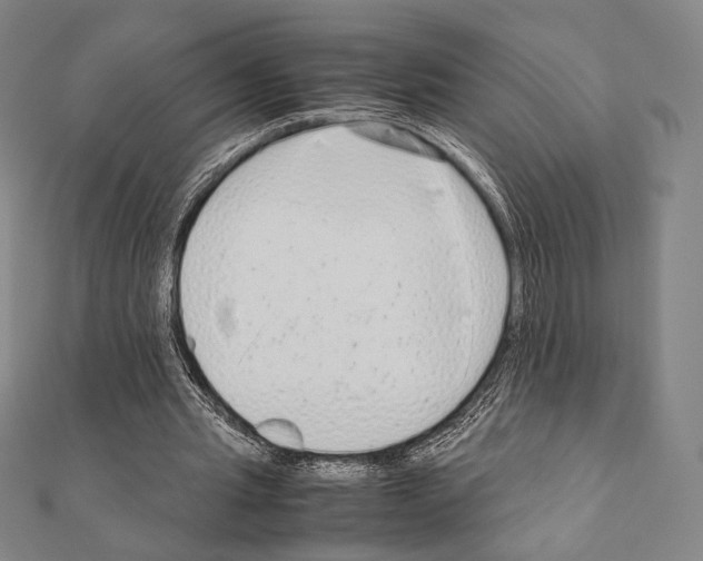 X0000111190437200908121051