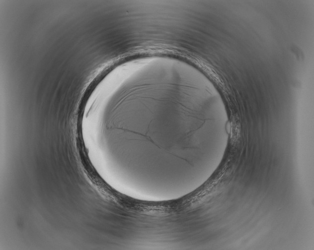 X0000111190438200908121051
