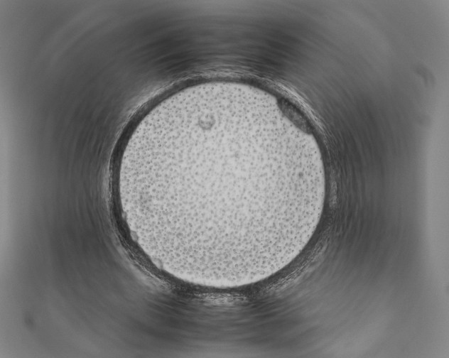 X0000111190439200908121051