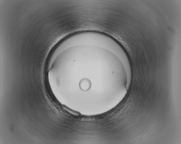 X0000111190440200908121051