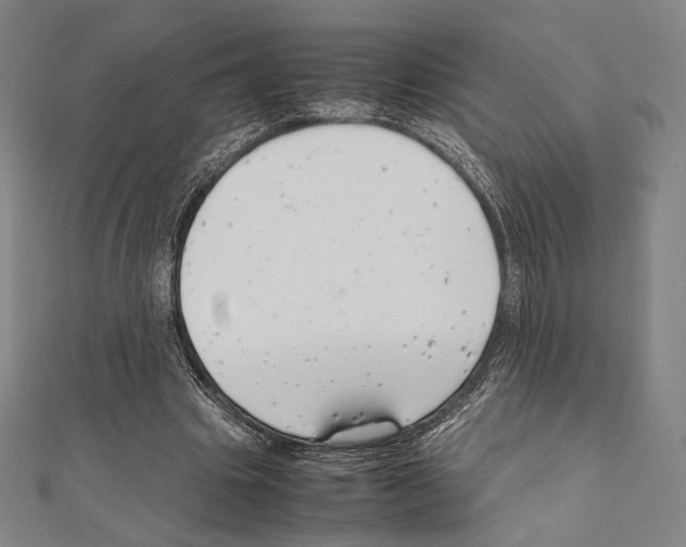 X0000111190441200908121051