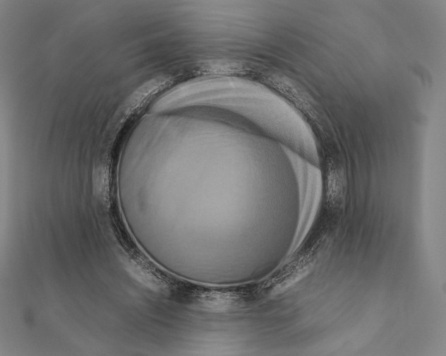 X0000111190444200908121051